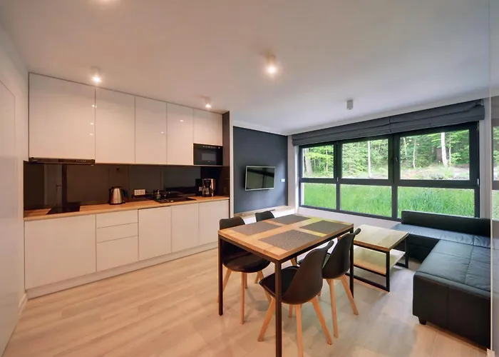 Appartamento Nowoczesny Sun Seasons 24 W Karpaczu Z Parkingiem I Balkonem By Renters